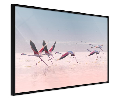 Плакат Artgeist - Flamingos Breaking into a Flight - Черна рамка - 45 x 30 cm