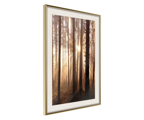 Faldekoráció - morning in the forest - arany keret passe-partout-val - 20 x 30 cm