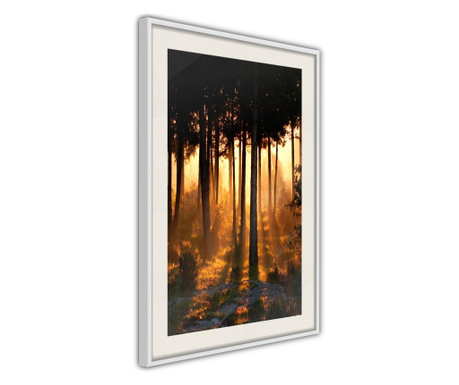Faldekoráció - dark tree tops - fehér keret passe-partout-val - 20 x 30 cm