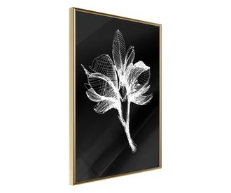 Plakat Artgeist - White Plant - Zlat okvir - 40 x 60 cm