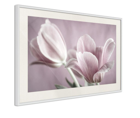 Poster Artgeist - Pastel Tulips I - Bijeli okvir s paspartuom - 60 x 40 cm