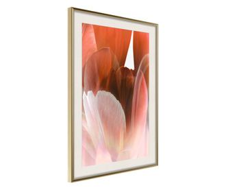 Plakat Artgeist - Tulip Petals - Zlat okvir s passe-partout - 30 x 45 cm