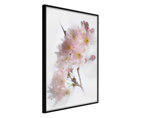 Faldekoráció - scent of spring - fekete keret - 20 x 30 cm