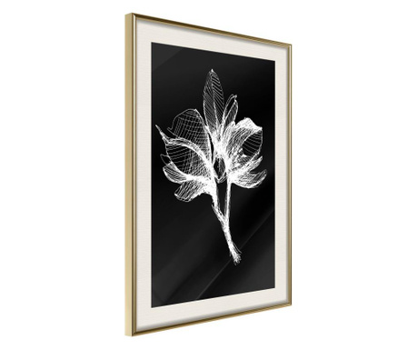 Faldekoráció - white plant - arany keret passe-partout-val - 30 x 45 cm