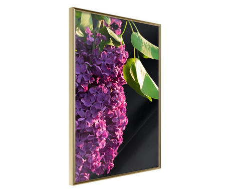 Poster Artgeist - Violet May - Zlatni okvir - 30 x 45 cm