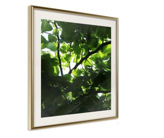 Plakat Artgeist - Under Cover of Leaves - Zlat okvir s passe-partout - 30 x 30 cm