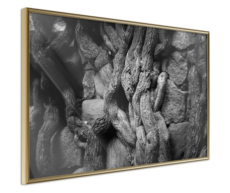 Poster Artgeist - Strong Roots - Zlatni okvir - 30 x 20 cm