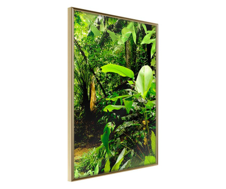 Poster Artgeist - In the Rainforest - Zlatni okvir - 20 x 30 cm