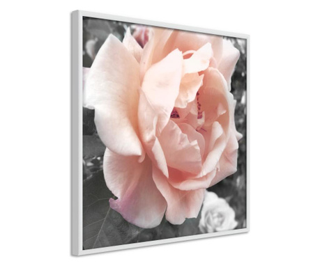 Faldekoráció - delicate rose - fehér keret - 20 x 20 cm