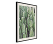 Poster Artgeist - Cactus Plantation - Crni okvir s paspartuom - 30 x 45 cm