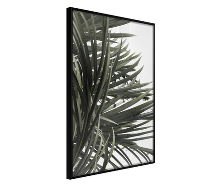 Faldekoráció - little tropics - fekete keret - 40 x 60 cm