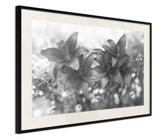 Faldekoráció - dark lillies - fekete keret passe-partout-val - 30 x 20 cm