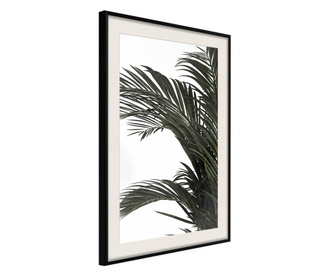 Faldekoráció - jungle scent - fekete keret passe-partout-val - 20 x 30 cm