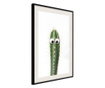 Faldekoráció - funny cactus i - fekete keret passe-partout-val - 30 x 45 cm