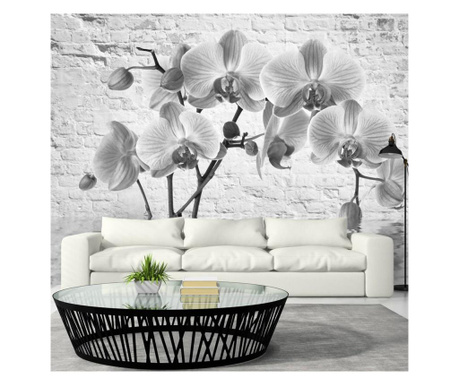 Fotótapéta artgeist - orchid in shades of gray - 350x245 cm