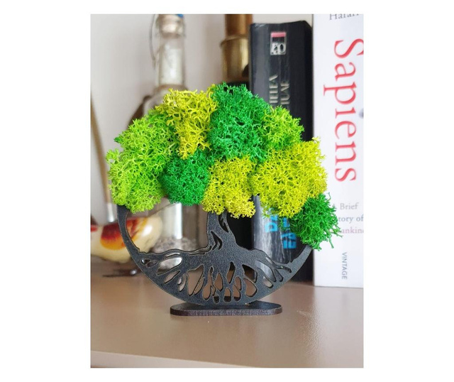 Copacel decorativ cu licheni stabilizati, 9 cm, verde  9x9 cm