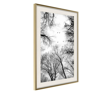 Faldekoráció - treetops - arany keret passe-partout-val - 40 x 60 cm