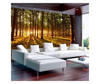 Samoljepljiva foto tapeta Artgeist - Summer: Morning in the forest - 98 x 70 cm
