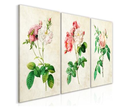 3 kép artgeist - floral trio (collection) - 60 x 30 cm