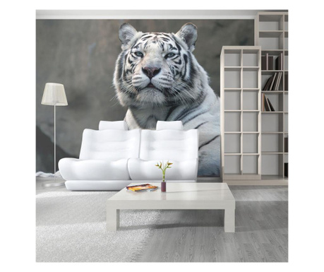 Foto tapeta Artgeist - Bengali tiger in zoo - 450 x 270 cm  450x270 cm