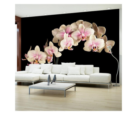 Фототапет Artgeist - Blooming orchid - 450 x 270 см  450x270 cm