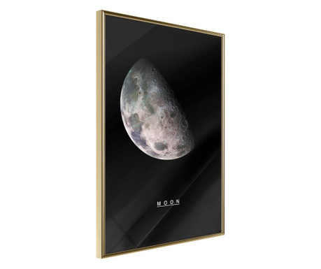 Poster Artgeist - The Solar System: Moon - Zlatni okvir - 30 x 45 cm