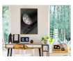 Plakat Artgeist - The Solar System: Moon - Zlat okvir - 30 x 45 cm