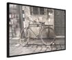 Plakat Artgeist - Old Bicycle - Črn okvir - 60 x 40 cm