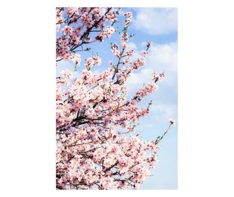 Fototapeta za zidove samoljepljiva i moguća za pranje flori63