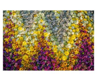 Fototapeta za zidove samoljepljiva i praljiva cvijeće65