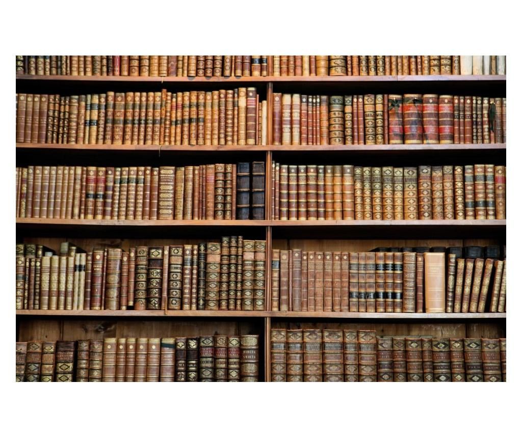 Books House Wallpaper 400x250 cm