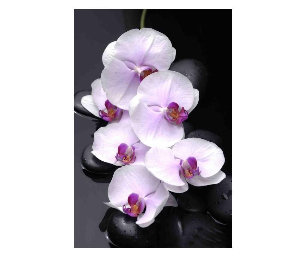 Αυτοκόλλητο Λευκές ορχιδέες με πέτρες, 270 x 200 εκ