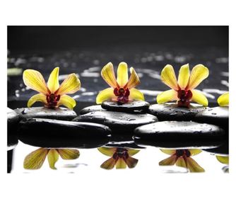 Média tapéta, sárga orchideák kövekkel,