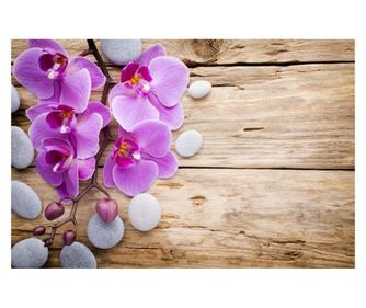 Fototapeta za zidove samoljepljiva i praljiva orhideje ružičaste s kamenjem