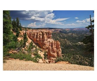 Fototapeta za zidove samoljepljiva i praljiva natura120