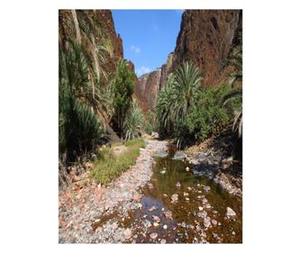 Fototapeta za zidove samoljepljiva i praljiva natura124