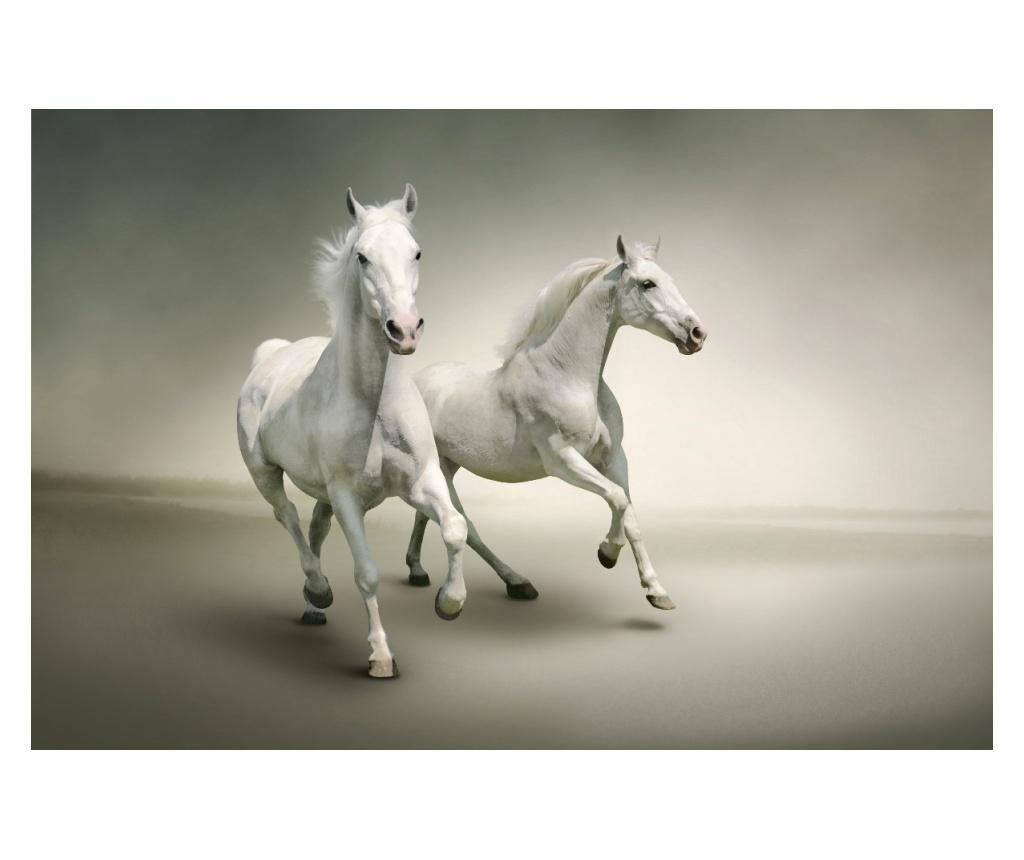  Media "fehér vágtató lovak" vászonkép, 105 x 70 cm