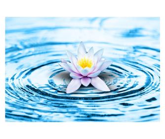 Πίνακας σε καμβά Flowers 6, 90 x 60 εκ