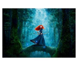 Platno s sliko princese Meride 2, 60 x 40 cm 40 x 60 cm