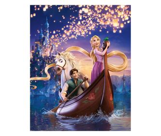 Platno slika rapunzel, 45 x 30 cm 30 x 45 cm