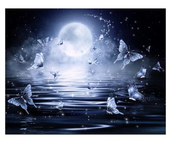 Πίνακας σε καμβά Πεταλούδες στο φως της νύχτας, 75 x 50 εκ