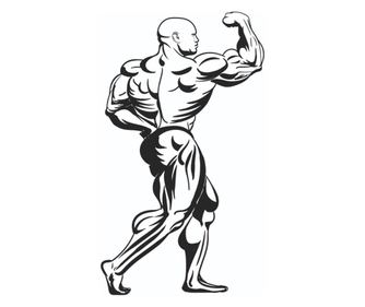 Sticker decorativ, Bodyboiler, Culturism, Utilizat pentru sala de fitness, dormitor, living, bucatarie si hol, 57 x 97 cm