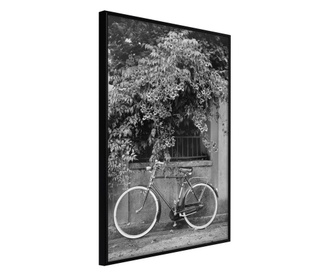 Poster Artgeist - Bicycle with White Tires - Crni okvir - 40 x 60 cm