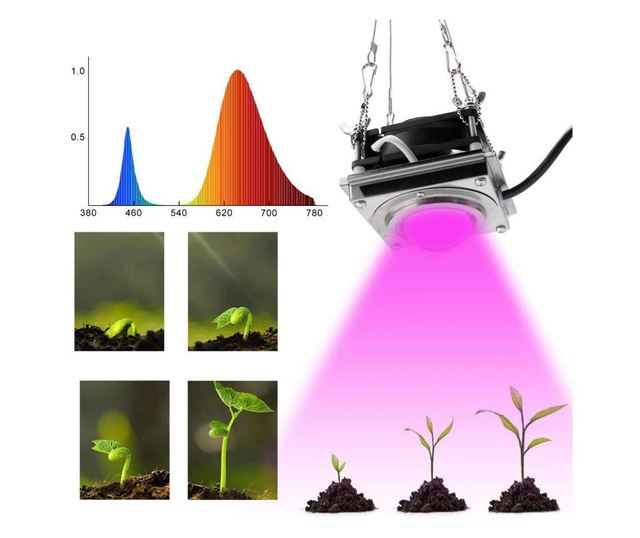 Lampa pentru cresterea plantelor de interior cu spectru complet si sistem de racire silentios