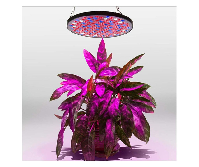 Lampa led slim 50w , sistem de agatare, pentru cresterea plantelor in interior, 177 LED-uri