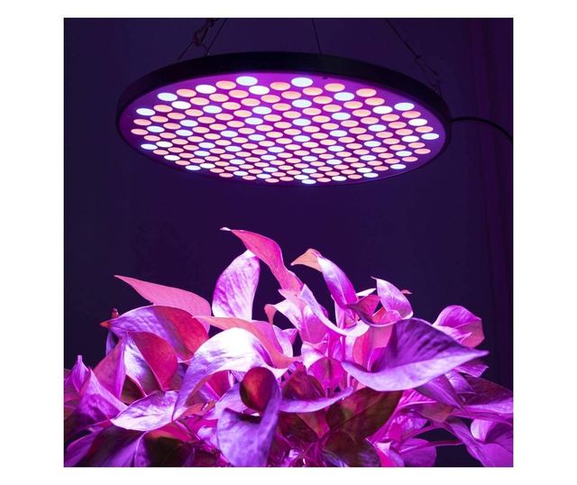 Lampa led slim 50w , sistem de agatare, pentru cresterea plantelor in interior, 177 LED-uri
