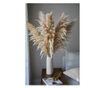 Planta naturala pampas grass pletos, extra large, 1buc, uscat, conservat natural, 100 cm, premium, vaporos, Boho Decor