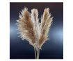 Buchet planta naturala pampas grass pletos, 3buc, uscat, conservat natural, 80 cm, calitate premium, vaporos, Boho Decor