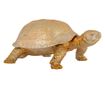 Dekoracija Turtle Richmond KB-0014