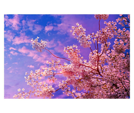 Fototapet flori de cires4  300x250 cm